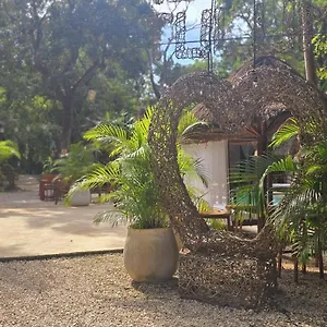 Kin Jungle Deluxe Mexiko